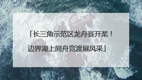 长三角示范区龙舟赛开桨！边界湖上同舟竞渡展风采