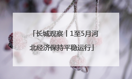 长城观察丨1至5月河北经济保持平稳运行