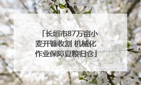 长垣市87万亩小麦开镰收割 机械化作业保障夏粮归仓