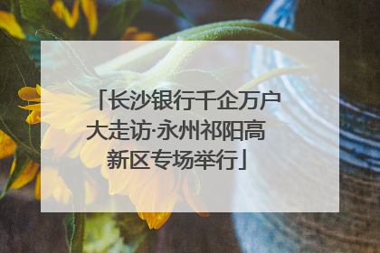 长沙银行千企万户大走访·永州祁阳高新区专场举行