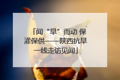 闻“旱”而动 保灌保供——陕西抗旱一线走访见闻