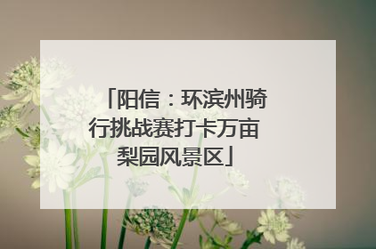 阳信：环滨州骑行挑战赛打卡万亩梨园风景区