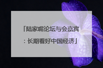 陆家嘴论坛与会嘉宾：长期看好中国经济