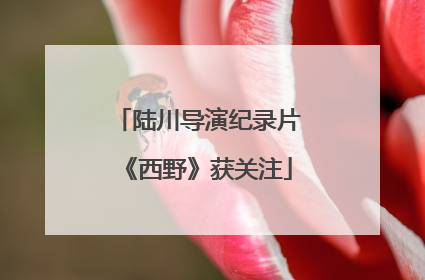 陆川导演纪录片《西野》获关注