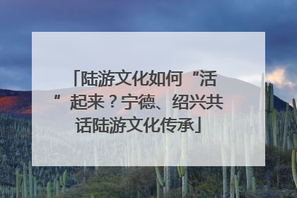 陆游文化如何“活 ”起来？宁德、绍兴共话陆游文化传承