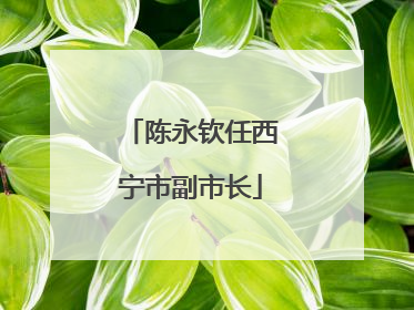 陈永钦任西宁市副市长