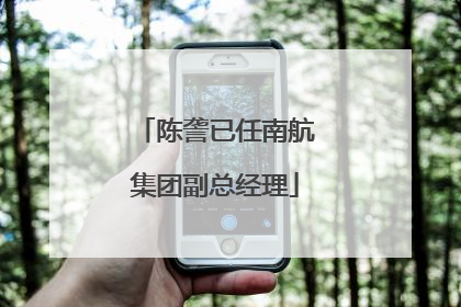 陈詟已任南航集团副总经理