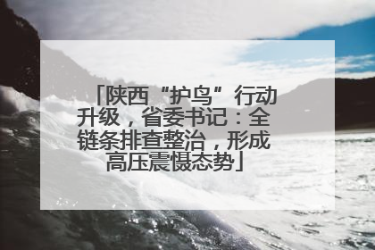 陕西“护鸟”行动升级，省委书记：全链条排查整治，形成高压震慑态势