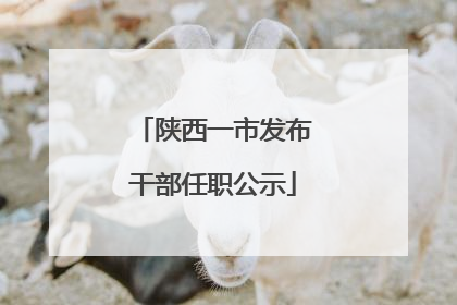 陕西一市发布干部任职公示