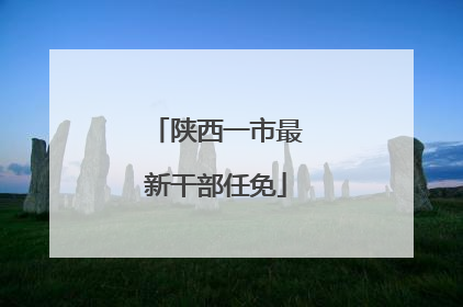 陕西一市最新干部任免