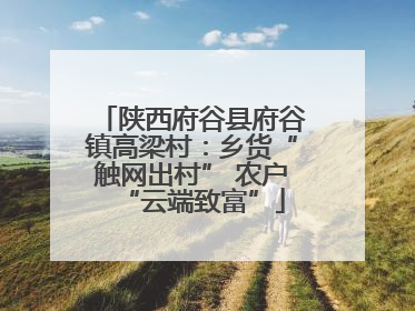 陕西府谷县府谷镇高梁村：乡货“触网出村” 农户“云端致富”
