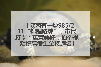 陕西有一块985/211“锦鲤路牌”，市民打卡：寓意美好，拍个视频祝高考生金榜题名