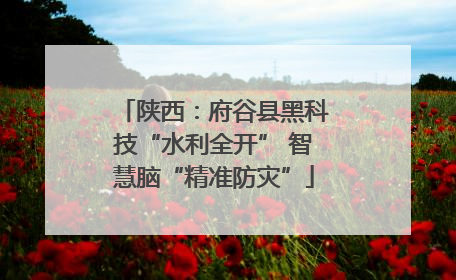陕西：府谷县黑科技“水利全开” 智慧脑“精准防灾”