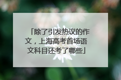 除了引发热议的作文，上海高考首场语文科目还考了哪些