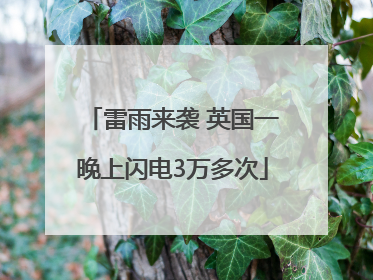 雷雨来袭 英国一晚上闪电3万多次