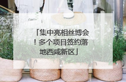 集中亮相丝博会！多个项目签约落地西咸新区
