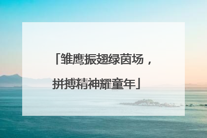 雏鹰振翅绿茵场，拼搏精神耀童年