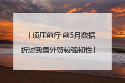 顶压前行 前5月数据折射我国外贸较强韧性