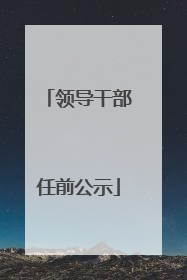 领导干部任前公示