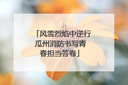 风雪烈焰中逆行 瓜州消防书写青春担当答卷