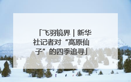 飞羽镜界｜新华社记者对“高原仙子”的四季追寻