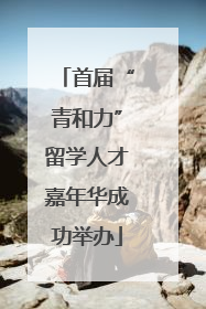 首届“青和力”留学人才嘉年华成功举办