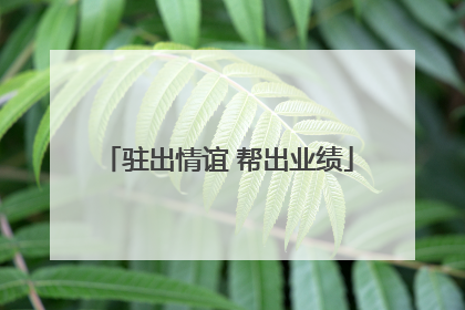 驻出情谊 帮出业绩