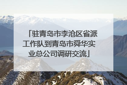 驻青岛市李沧区省派工作队到青岛市舜华实业总公司调研交流