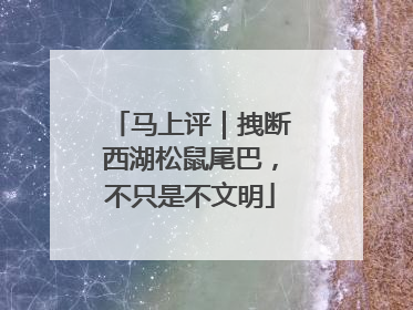 马上评｜拽断西湖松鼠尾巴，不只是不文明