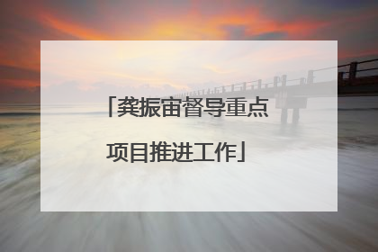 龚振宙督导重点项目推进工作
