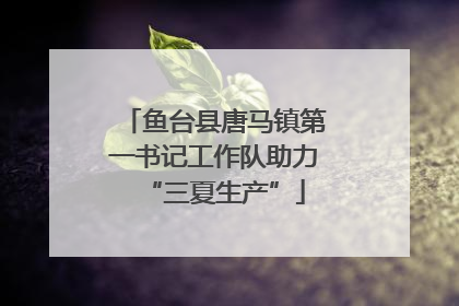 鱼台县唐马镇第一书记工作队助力“三夏生产”