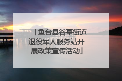 鱼台县谷亭街道退役军人服务站开展政策宣传活动