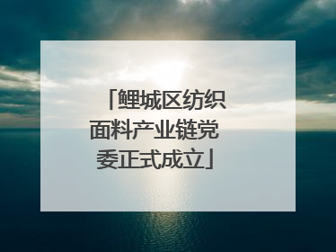 鲤城区纺织面料产业链党委正式成立