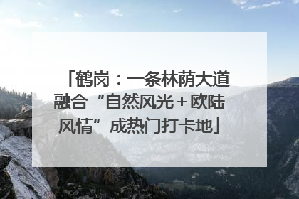 鹤岗：一条林荫大道融合“自然风光＋欧陆风情”成热门打卡地