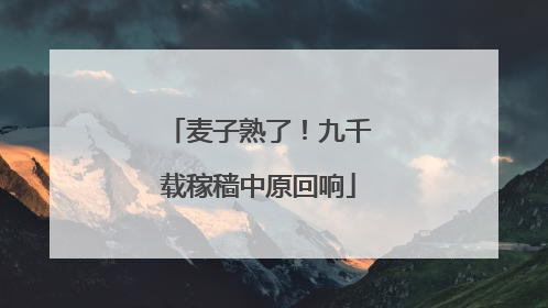 麦子熟了！九千载稼穑中原回响