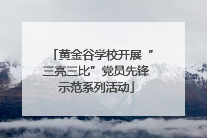 黄金谷学校开展“三亮三比”党员先锋示范系列活动