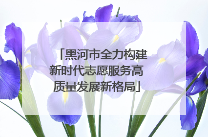黑河市全力构建新时代志愿服务高质量发展新格局
