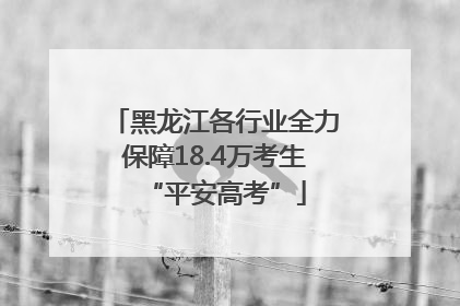 黑龙江各行业全力保障18.4万考生“平安高考”