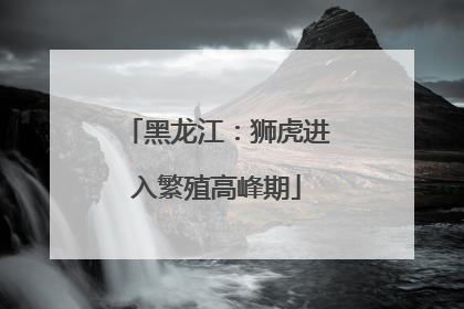 黑龙江：狮虎进入繁殖高峰期