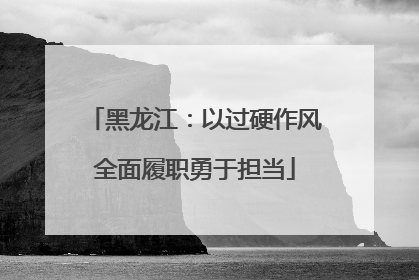 黑龙江：以过硬作风全面履职勇于担当