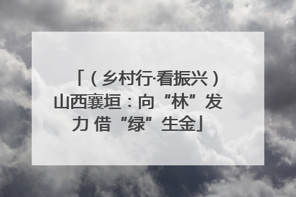 （乡村行·看振兴）山西襄垣：向“林”发力 借“绿”生金