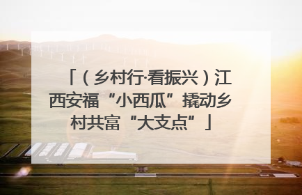（乡村行·看振兴）江西安福“小西瓜”撬动乡村共富“大支点”