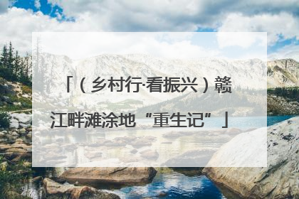 （乡村行·看振兴）赣江畔滩涂地“重生记”