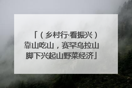 （乡村行·看振兴）靠山吃山，赛罕乌拉山脚下兴起山野菜经济