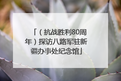 （抗战胜利80周年）探访八路军驻新疆办事处纪念馆