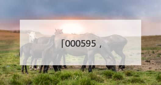 000595，调整后重大资产重组方案公布！