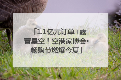 1.1亿元订单+露营星空！空港家博会▪畅购节燃爆今夏
