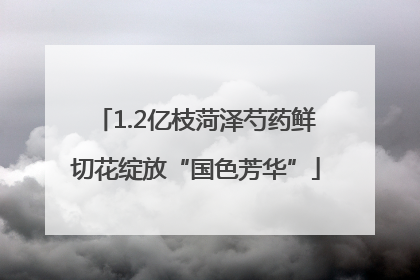 1.2亿枝菏泽芍药鲜切花绽放“国色芳华”