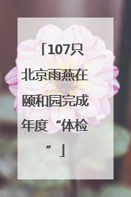 107只北京雨燕在颐和园完成年度“体检”