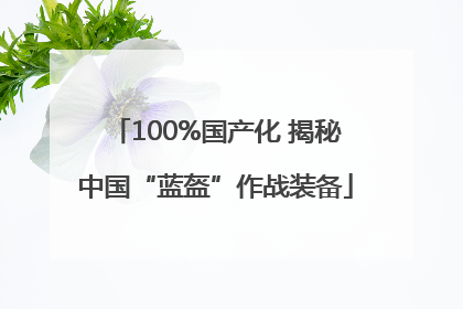 100%国产化 揭秘中国“蓝盔”作战装备